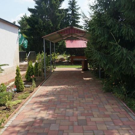 Sunny Apartman Nyíregyháza المظهر الخارجي الصورة